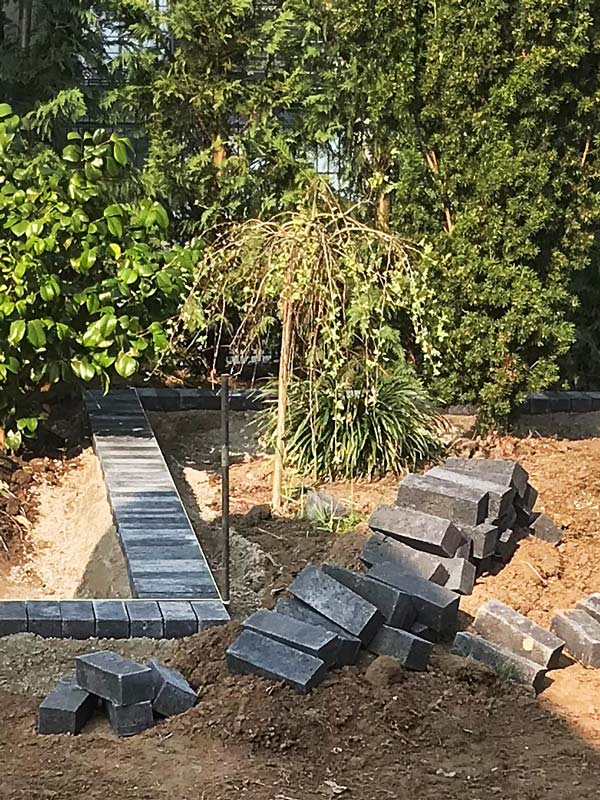 Gartenkonzept und Verlegung von Rollrasen in einem Bornheimer Privatgarten